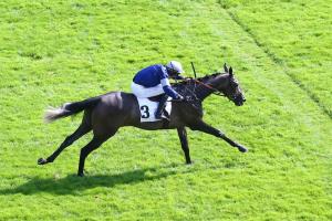 Chambly 21 La Cheneviere