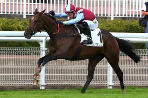 Compiegne 21 LAutonomie