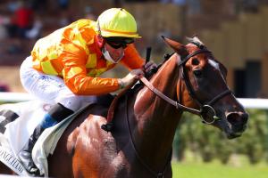 Rochette 21 Acer Alley