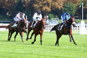 The Fellow 21 Let Me Love