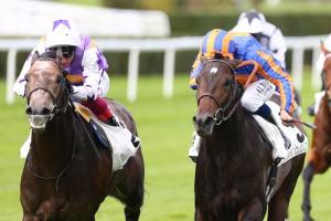 Criterium Continental 21 Angel Bleu