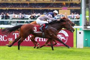 Abbaye 21 A Case of You