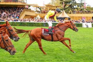 Arc 21 Torquator Tasso