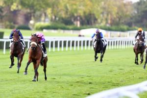 Belle de Nuit 21 Control Tower