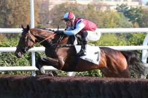 Carmarthen 21 L'Autonomie