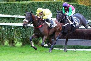 Grand steeple de compiègne 21 Amour du Mathan