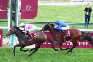 Lagardere 21 Angel Bleu