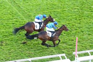 Pierre de Lassus 21 Hermes Baie