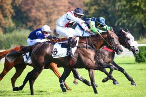 Orcada 21 L'Aubonniere