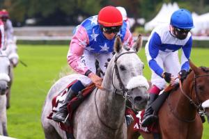 qatar arabian world cup 21 