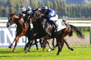 Réservoirs 21 Rosacea