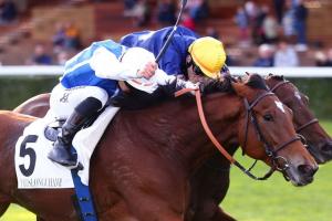 Conseil de Paris 21 Seachange