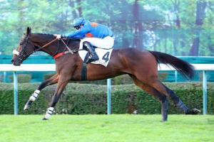 Renaud du Vivier 21 Theleme