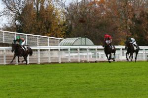 Andre michel 21 Raffles Sainte