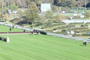 Congress 21 Latino des Isles