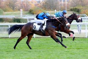 Gillois 21 Let Me Love