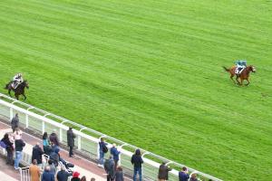 Grand Prix d'Automne 21 Galop Marin