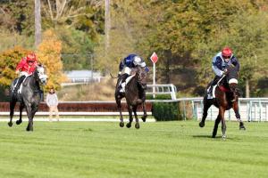 Magalen Bryant Bournosienne 21 Hawai du Berlais