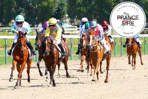 Visuel Poneys au Galop