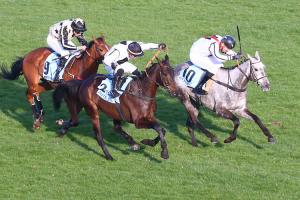 Robert de Clermont-Tonnerre Chase (Gr3) finish, as Happy Monarch leads home his stablemate Scarlet du Mesnil for the Devin family, on February 28th, 2022, at Auteuil racecourse in Paris.