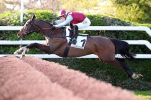 L'Autonomie franchit une haie sur l'hippodrome d'Auteuil, en route vers sa troisième victoire consécutive dans le Prix Hypothèse, le dimanche 27 mars 2022.