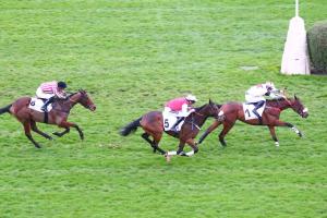 Arrivée du prix Duc d'Anjou (Gr3, Steeple-C hase) remporté par le favori Latino des Isles, le 12 mars 2022 à Auteuil.