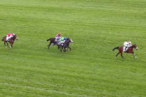 Latino des Isles et Pierre Dubourg gagnent facilement le Prix Fleuret (Gr3) sur le steeple-chase de l'hippodrome d'Auteuil, le 3 avril 2022 à Paris.