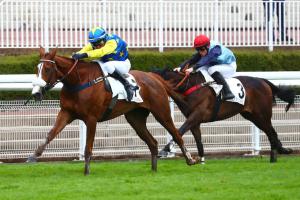 Pépinvast Hurdle history: a second step to be taken cautiously