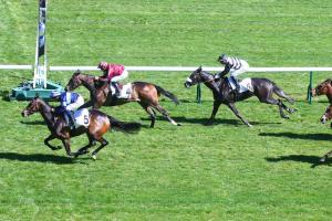 Prix de la Grotte History: The French One Thousand trial