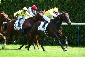 Texanita : Kingentleman