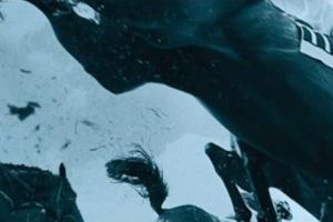 Banniere Grand Steeple-Chase de Paris