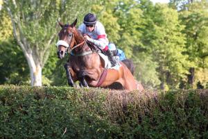 Hacienda signe la plus belle victoire de sa carrière dans le Prix des Drags sur l'hippodrome d'Auteuil.
