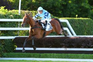 Hermès de Chamdoux a ouvert brillamment son palmarès dans le Prix Questarabad à Auteuil