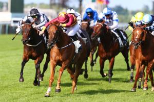 Gros Chene 2022 Brostaigh