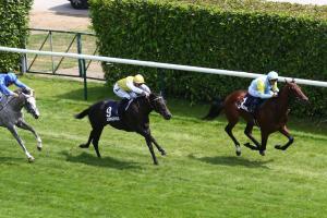 Bois 2022 Belbek chantilly