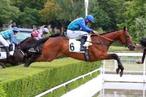 diamond carl la perichole 22 auteuil