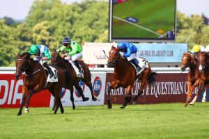 purplepay gagne le prix de sandringham 2022 à Chantilly.
