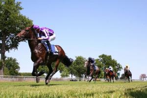 Blackbeard gagne le darley prix robert papin 2022 sur l'hippodrome de chantilly