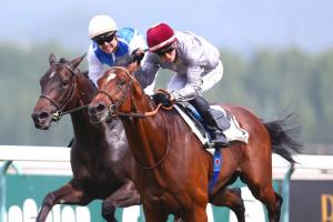 Al Hakeem signe une première victoire de Groupe
