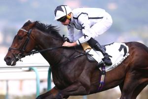 Oscula a effectué un retour victorieux à Deauville