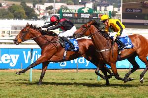 Aristia repousse Rosscarbery