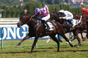 Daphnis 22 Checkandchallenge