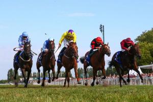 Pomone 22 Sea La Rosa