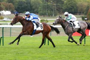 Blue Rose Cen se détache facilement