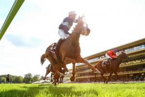 Simca Mille vers l'Arc ?