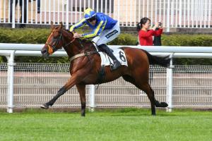 St Donats file vers son premier Groupe