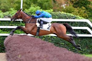 Hermès Baie est bien le meilleur cheval d'âge sur les haies