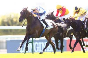 Gladiateur 22 Big Call