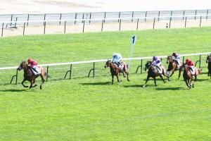 Moulin 22 Dreamloper