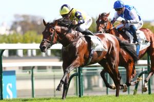 Prince d'Orange 22 West Wind Blows